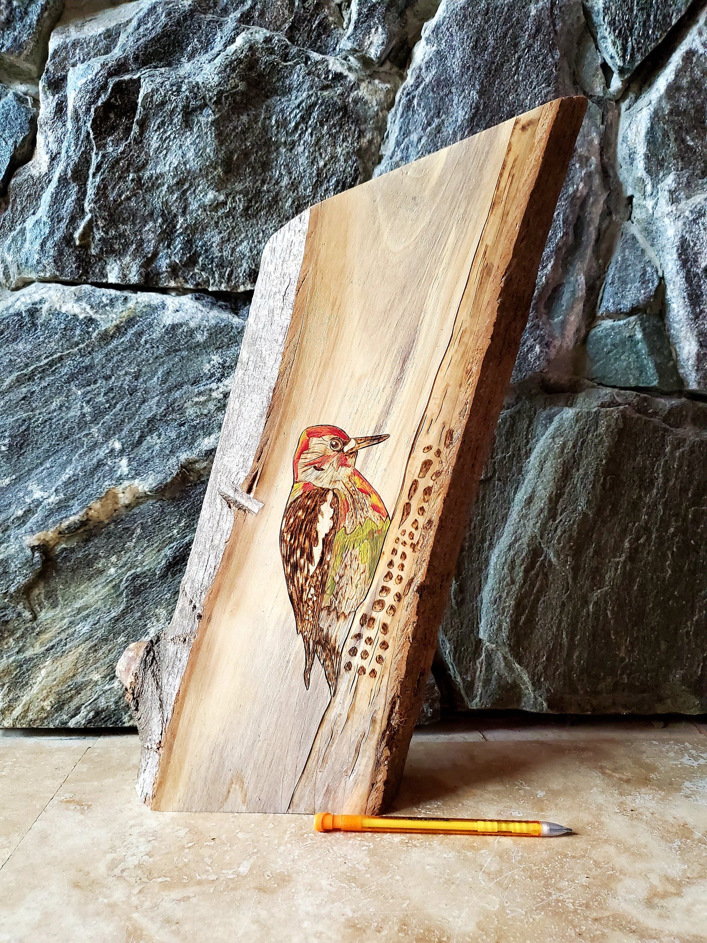 Wood burning on red alder slab - Sapsucker