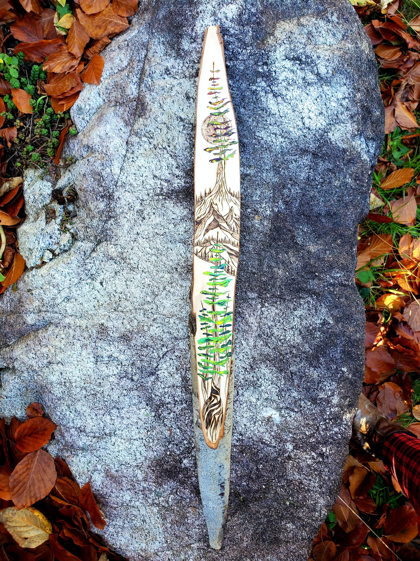 Forest for the Trees Series