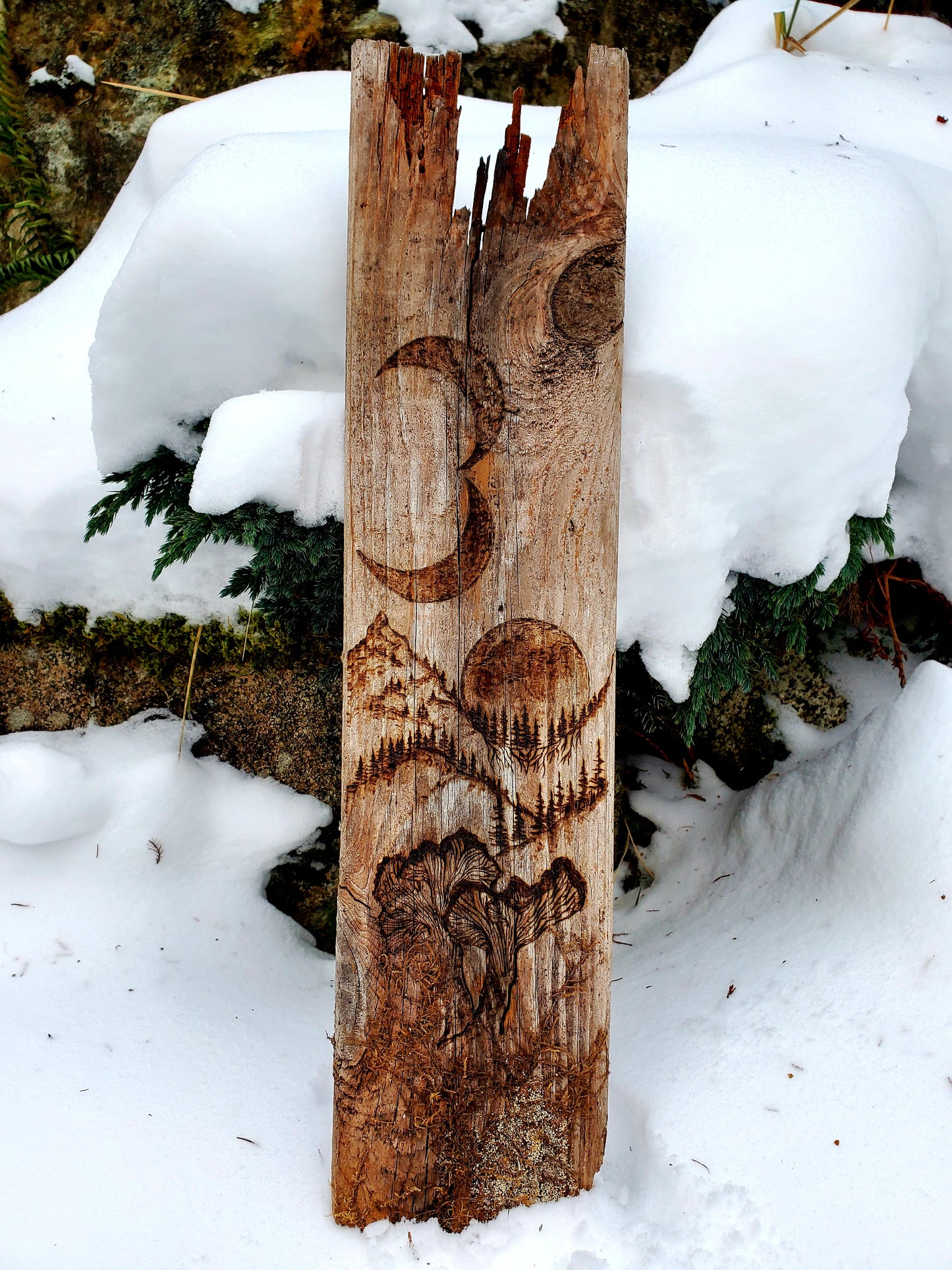 Wood burning on Fencepost - Moon, Mountains and Mushrooms