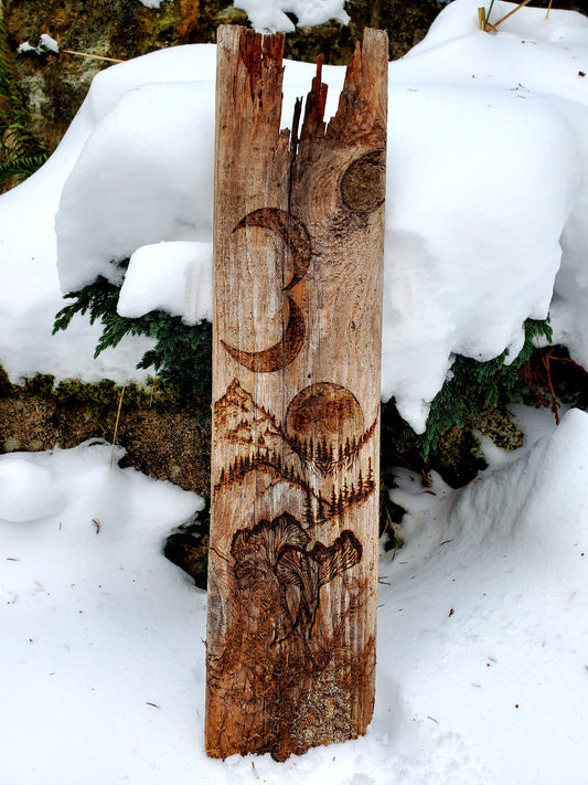 Wood burning on Fencepost - Moon, Mountains and Mushrooms