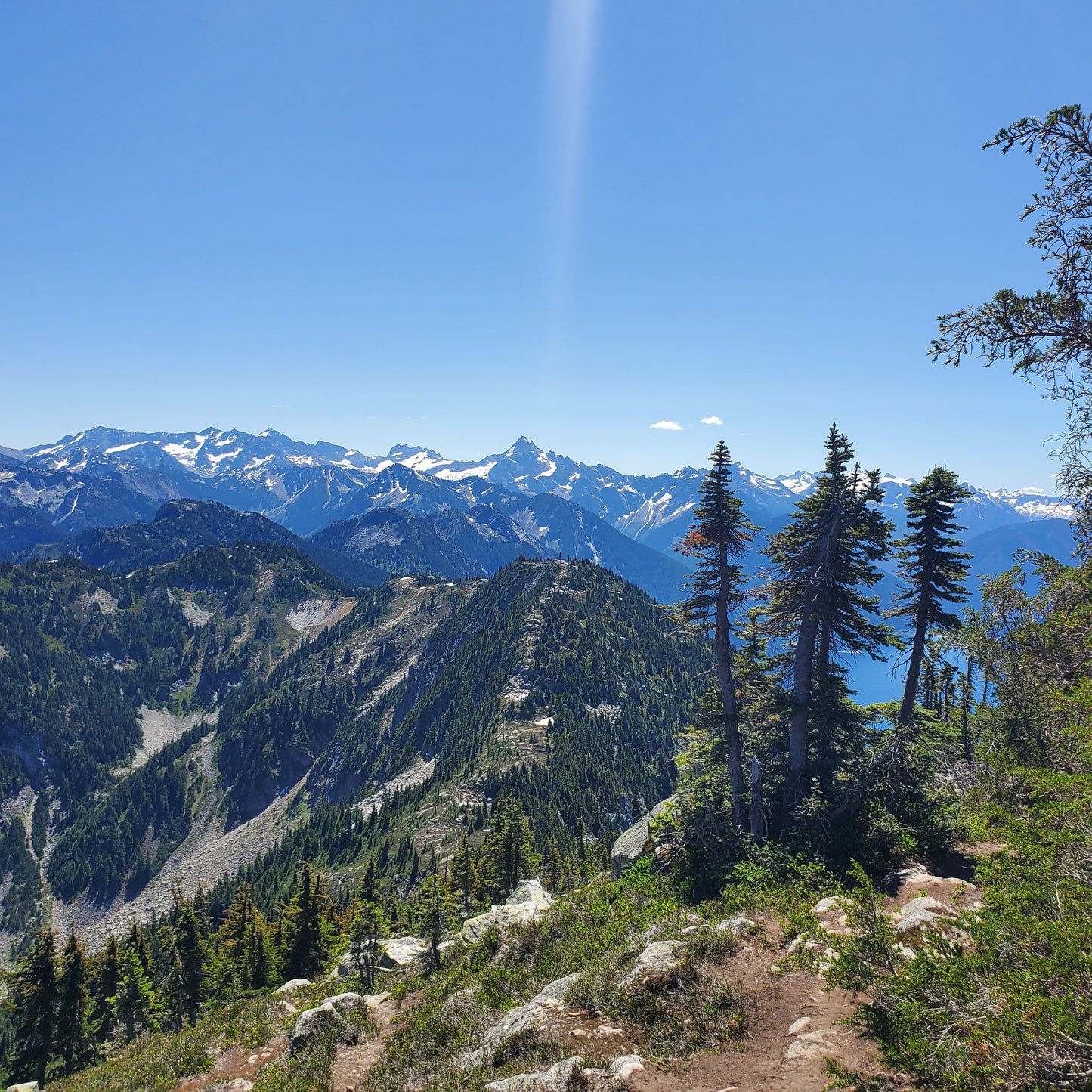 Watercolor Print - Three Trees Flora Peak