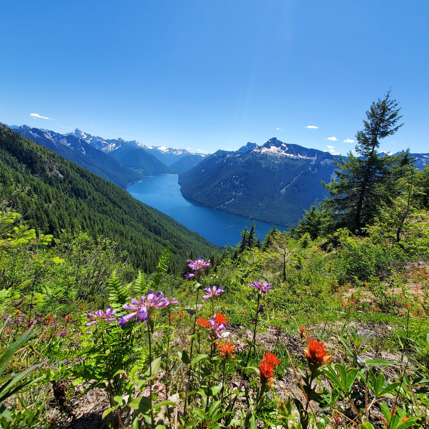 Watercolor Print - Chilliwack Lake at Flora Peak