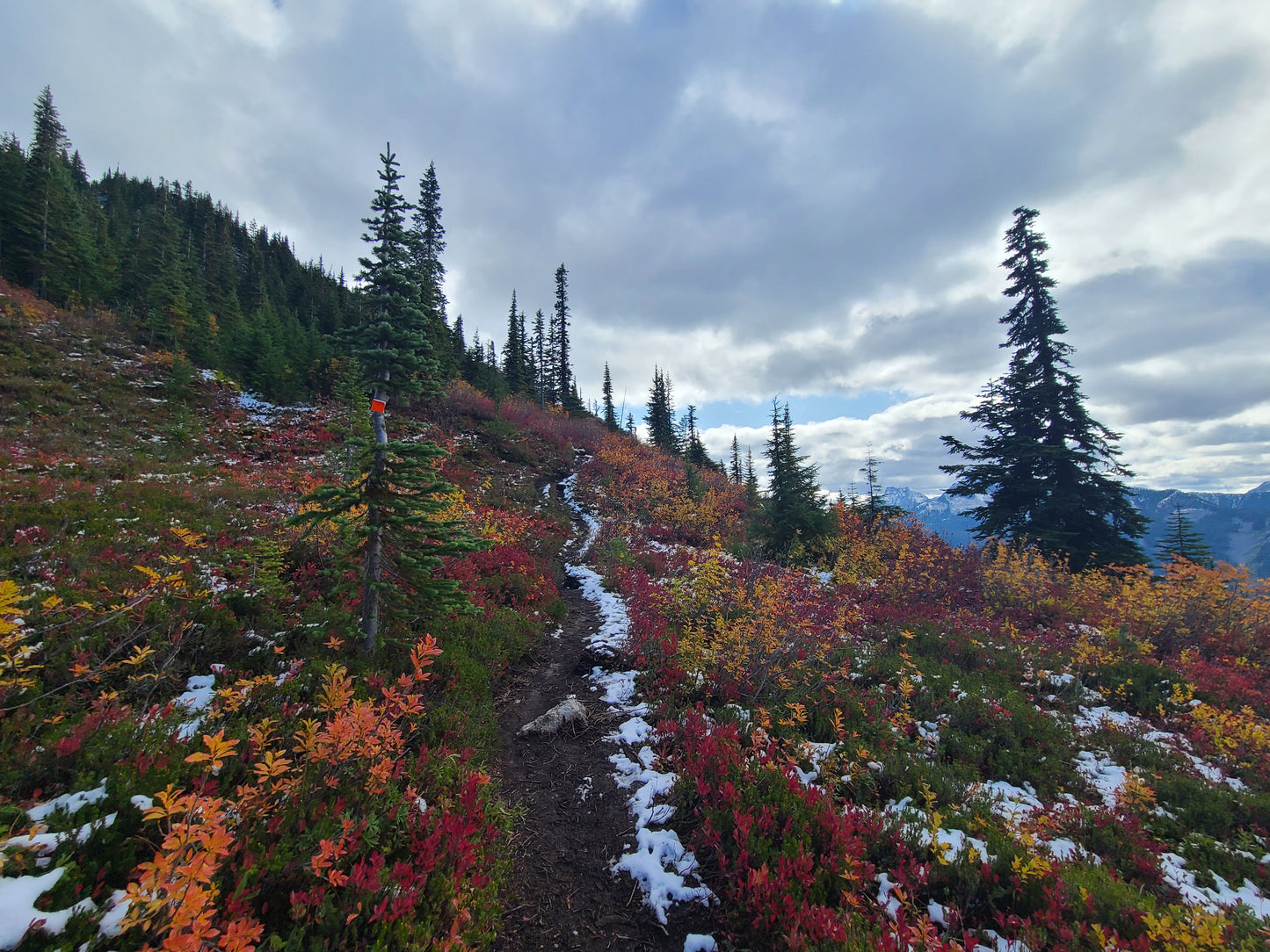 Watercolor Print - Flora Peak Fall