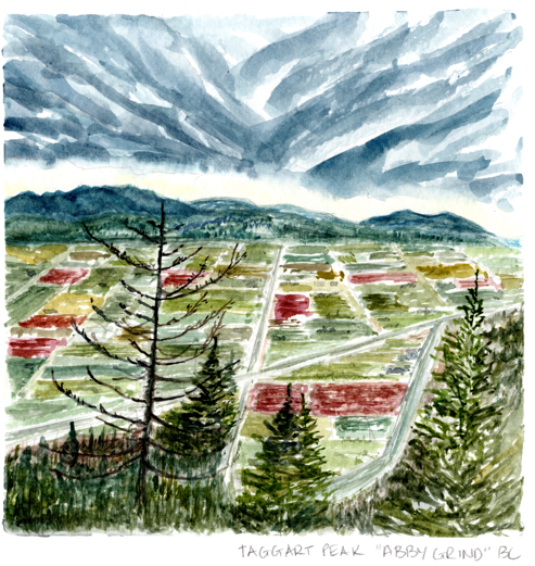 Watercolor Print - Abby Grind