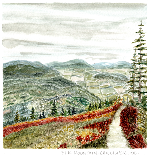 Watercolor Print - Elk Mountain