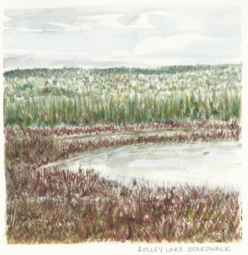 Watercolor Print - Rolley Lake Boardwalk