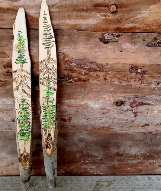 Forest for the Trees Series